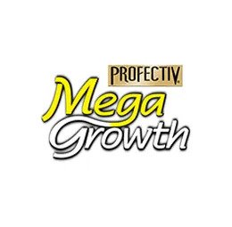 Profectiv
