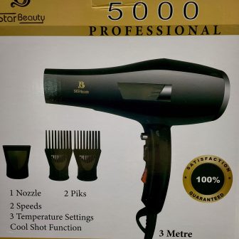 Salon Professional 5000 Hair Dryer
